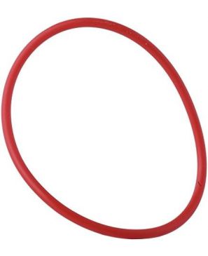 1610210106 ANILLO TOROIDAL POS 77