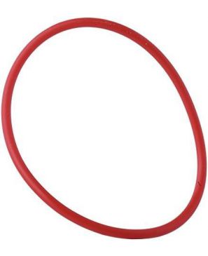 1610210106 ANILLO TOROIDAL POS 77