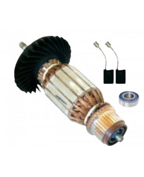 F000605081 INDUCIDO 127 V. (1752)
