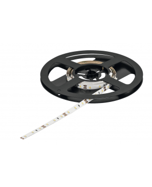 tira LED, Häfele Loox5 LED 2065, 12 V,  8 mm 120 LEDs/m, 4,8 W/m, IP20, blanco frio 5000 K, 5 m