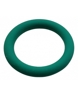  ANILLO TOROIDAL V.1610210119