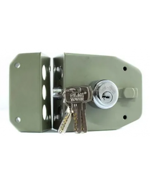S-100-EP PINTADA 